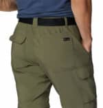 Silver Ridge M Utility Convt Pant Stone Green