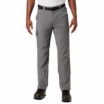 Silver Ridge M Cargo Pant City Grey
