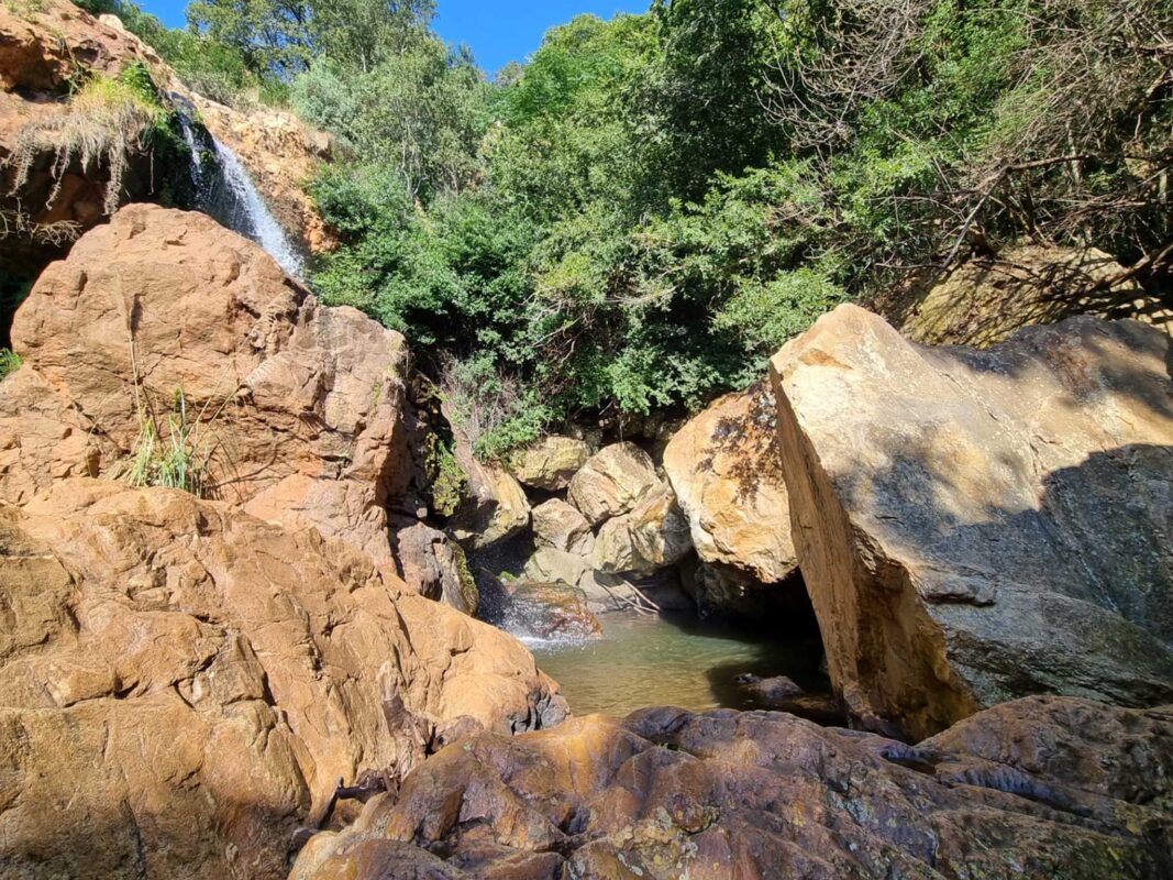 Kings-Kloof