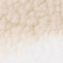 Colour Swatch