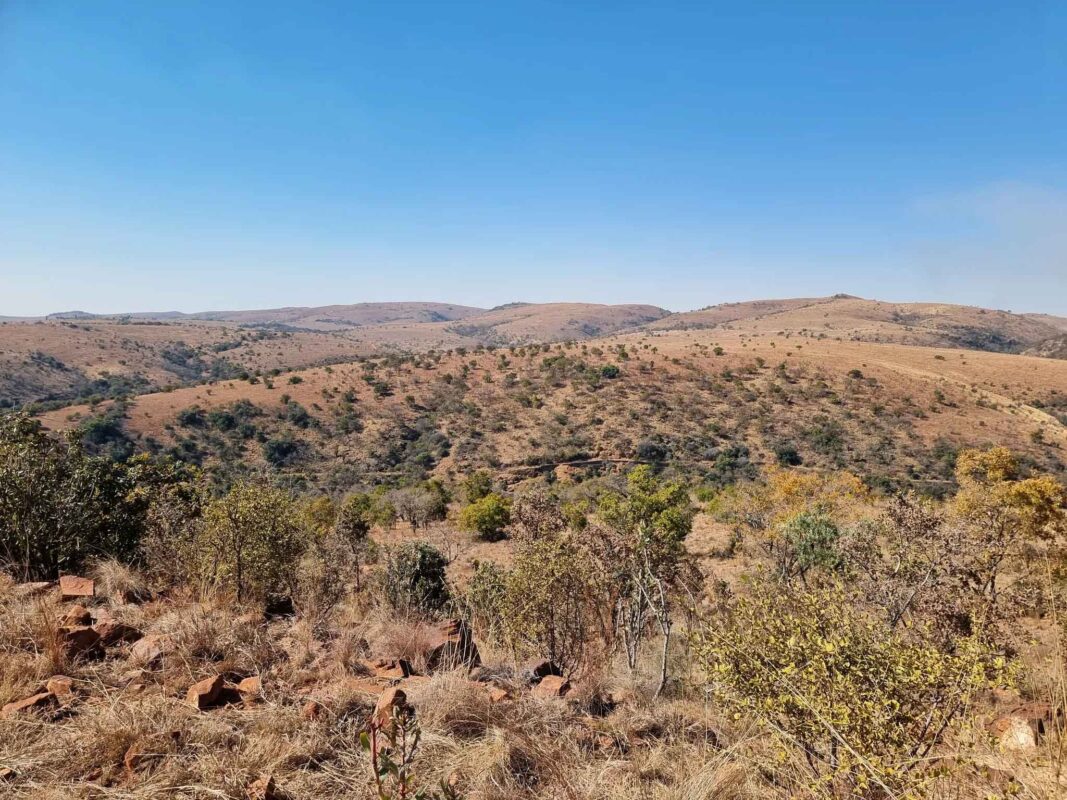 Vast dry landscape under clear sky