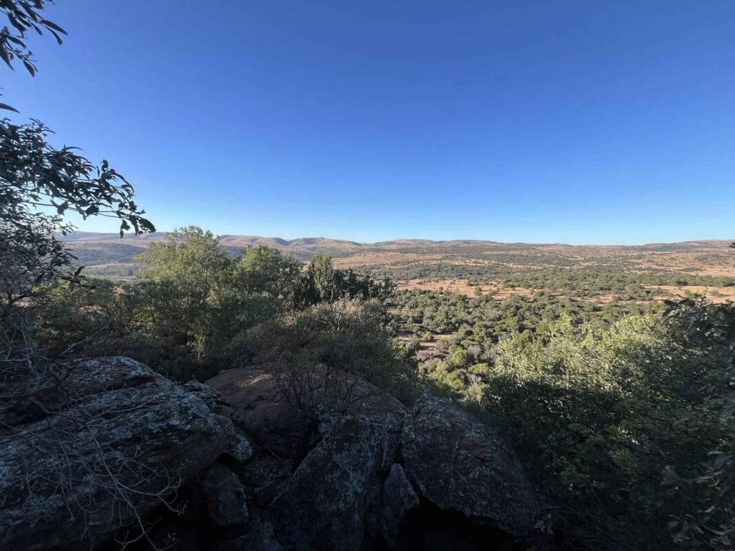 Expansive landscape under clear blue sky.