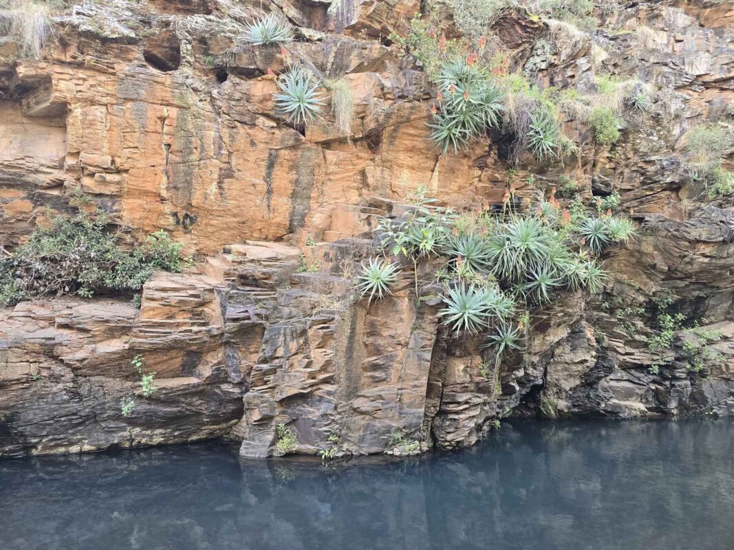 Rocky cliff with lush greenery and water