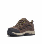 A Men's Crestwood Waterproof Hiking Shoes